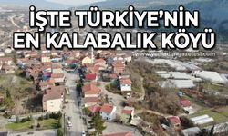 İşte Türkiye'nin en kalabalık köyü