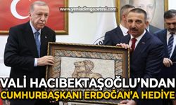 Vali Osman Hacıbektaşoğlu'ndan Cumhurbaşkanı Recep Tayyip Erdoğan'a özel hediye