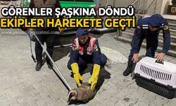 Görenler şaşkına döndü: Ekipler harekete geçti