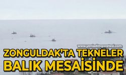 Zonguldak'ta tekneler balık mesaisinde
