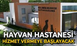 Murat Sesli'den seçim projesi: Hayvan Hastanesi hizmet vermeye başlayacak