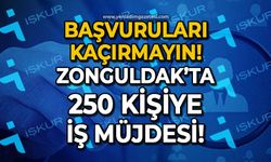Zonguldak'ta 250 kişiye iş müjdesi: Başvuruları kaçırmayın!