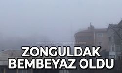 Zonguldak'ı sis kapladı: Sürücüler zor anlar yaşadı