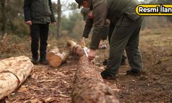 Ormancılık çalışmalarının takibi ve kontrolü hizmeti alınacak