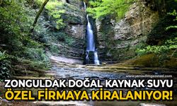 Zonguldak'ın doğal kaynak suyu, özel firmaya kiralanacak!