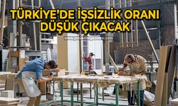 Türkiye’de işsizlik oranı düşük çıkacak