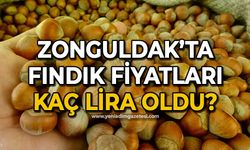 Zonguldak'ta fındık fiyatları kaç lira oldu?