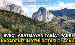 İsveç'i aratmayan Tabiat Parkı, Karadeniz'in yeni rotası olacak