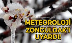 Meteoroloji Zonguldak'ı uyardı: Zirai don başlıyor!