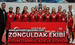 Zonguldak ekibi Aydın'da mücadele ediyor