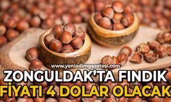 Zonguldak'ta fındık fiyatı 4 dolar olacak