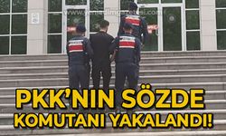 PKK'nın sözde üst düzey komutanı yakalandı!