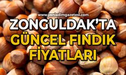 Zonguldak'ta güncel fındık fiyatları