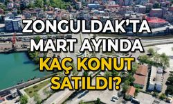 Zonguldak'ta mart ayında kaç konut satıldı: İşte rakamlar