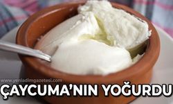 Zonguldak sofralarını şenlendiren lezzet: Çaycuma'nın yoğurdu