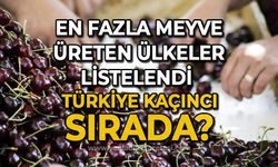 En fazla meyve üreten ülkeler listelendi: Türkiye kaçıncı sırada?