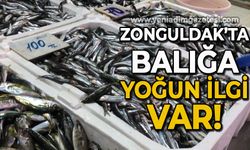Zonguldak'ta balığa yoğun ilgi var!