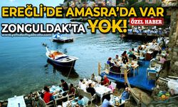Ereğli'de Amasra'da var, Zonguldak'ta yok!