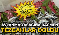 Avlanma yasağı olsa da tezgahlar balık çeşitleriyle dolu