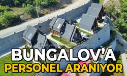 Bungalov evlere eleman aranıyor