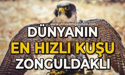 Dünyanın en hızlı kuşu Zonguldaklı