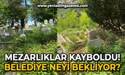 Zonguldak Belediyesi neyi bekliyor: Mezarlıklar kayboldu!