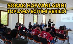 Sokak hayvanlarını yakalama ve toplama eğitimi