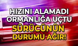 Ormanlık alana uçtu: Sürücünün durumu ağır!