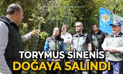 Torymus sinensis doğaya salındı