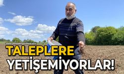 Taleplere yetişemiyorlar!