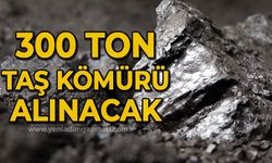 300 ton taş kömürü alımı yapılacak