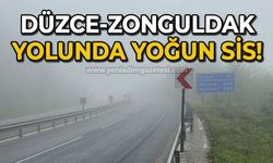 Düzce-Zonguldak yolunda yoğun sis!