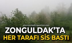 Zonguldak'ta her tarafı sis bastı