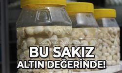 Bu sakız altın değerinde