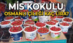 Mis kokulu Osmanlı Çileği kaç lira?