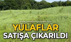 Yulaflar satışa çıkarıldı