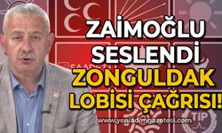 Osman Zaimoğlu'ndan Zonguldak Lobisi çağrısı