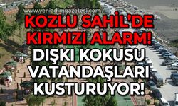 Kozlu Sahil'de kırmızı alarm: Dışkı kokusu vatandaşları kusturuyor!