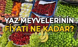 Yaz meyvelerinin fiyatı ne kadar?