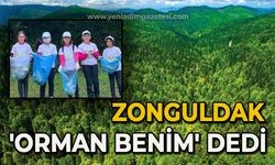 Zonguldak 'Orman benim' dedi
