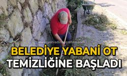 Kozlu Belediyesi yabani ot temizliğine başladı
