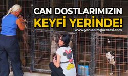 Can dostlarımızın keyfi yerinde!