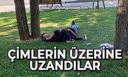 Çimlerin üzerine uzandılar