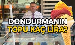 Zonguldak'ta bir top dondurma ne kadar?