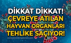 Dikkat dikkat! Çevreye atılan hayvan atıkları tehlike saçıyor