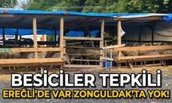 Besiciler tepkili: Ereğli'de var Zonguldak'ta yok!