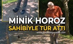 Minik horoz, sahibiyle Fener turu attı