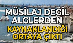 Kirliliğin müsilaj değil alglerden kaynaklandığı ortaya çıktı