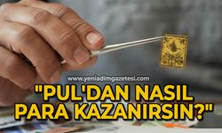 "Pul'dan nasıl para kazanırsın?"