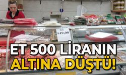 Et 500 liranın altına düştü!